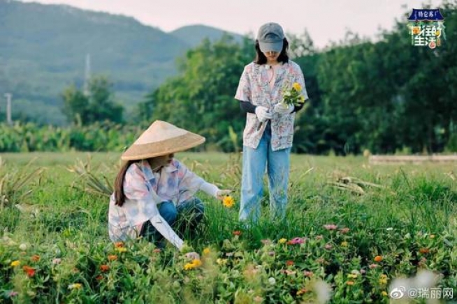 夏日消暑神器 除了冰镇西瓜还有花衬衫！