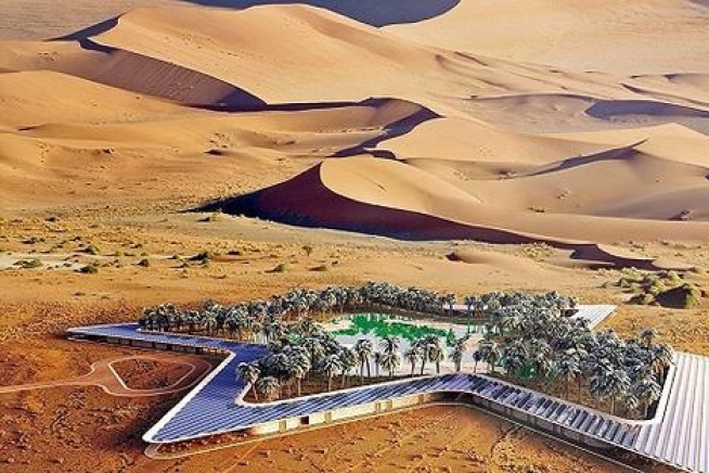 白袍又要创造人类奇迹：阿联酋拟建沙漠绿洲