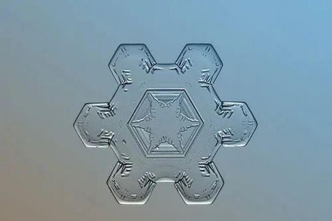 外国小哥花九年时间 只为拍一朵雪花