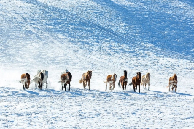 十一月最适合去北方看雪 去南方看海